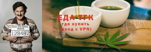 индика Богородицк
