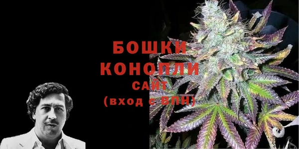 индика Богородицк