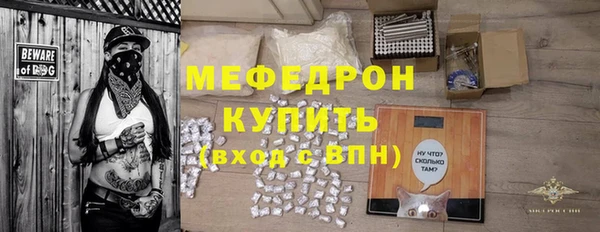 индика Богородицк