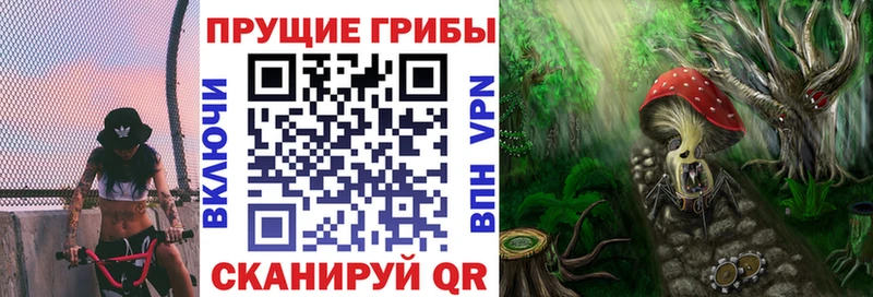 Галлюциногенные грибы GOLDEN TEACHER  Высоковск 